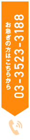 お急ぎの方はこちらから 03-3523-3188